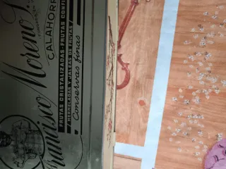 Caja antigua chapa decorada pájaros