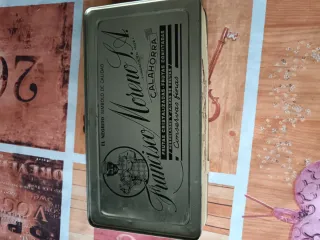 Caja antigua chapa decorada pájaros