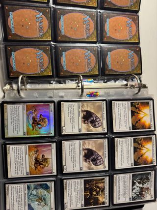 Collezione di Carte Magic The Gathering