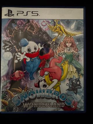 Snow Bros Wonderland PS5