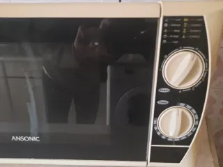 Microondas Ansonic
