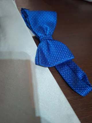 Lote de corbatas y pajarita de vestir