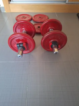 Mancuernas de disco rojas (2x)