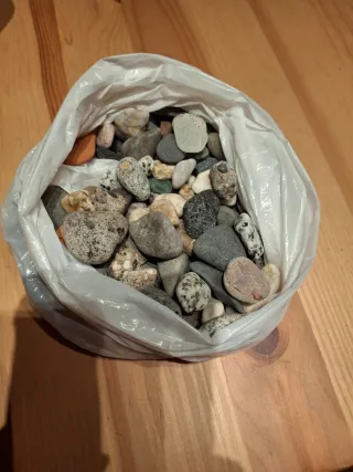 Kit pecera y transportin