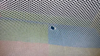 Cuna de viaje MS plegable