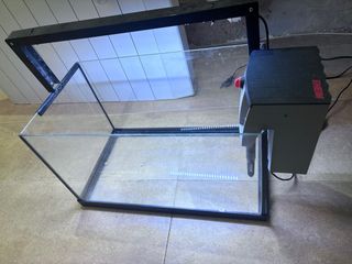 Pecera de cristal con filtro Eheim con filtro todo