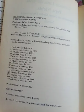 Pepa niebla(novela contemporánea,drama psicológico