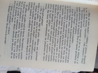 Pepa niebla(novela contemporánea,drama psicológico