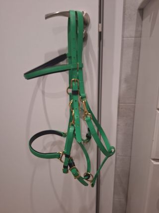 Cabezada de caballo verde biothane