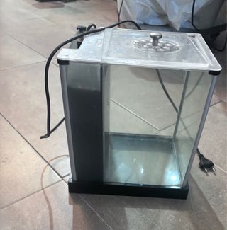 Pecera pequeña con tapa