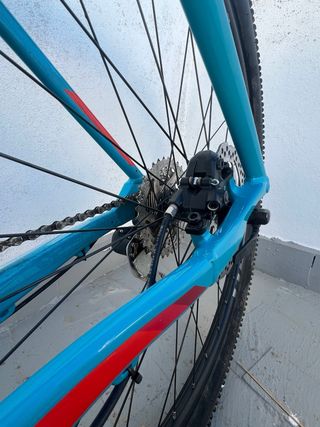 Orbea MX 50 29” Azul/Rojo