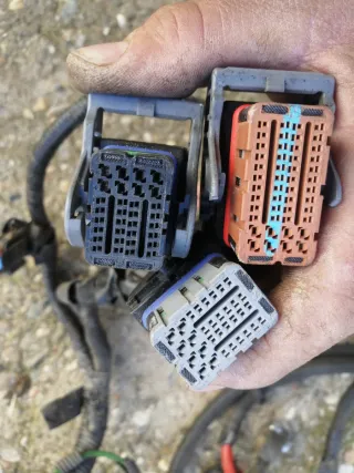 Cableado motor Ford Focus 1.8TDci 115cv.