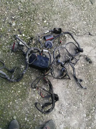 Cableado motor Ford Focus 1.8TDci 115cv.