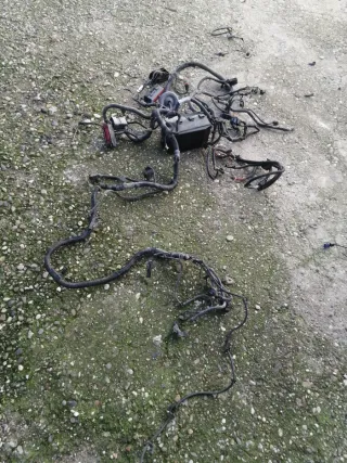 Cableado motor Ford Focus 1.8TDci 115cv.