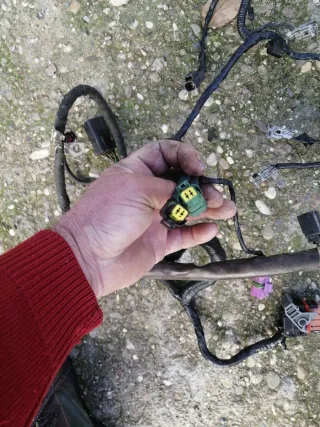 Cableado motor Ford Focus 1.8TDci 115cv.