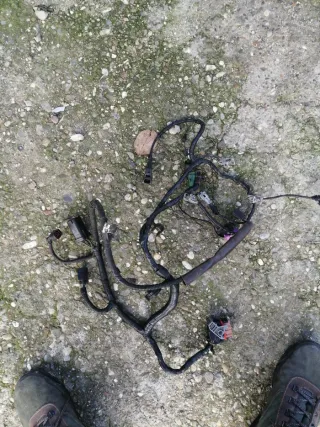 Cableado motor Ford Focus 1.8TDci 115cv.