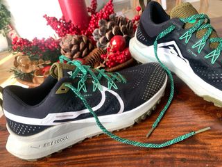 Zapatillas Nike Pegasus Trail Talla 40