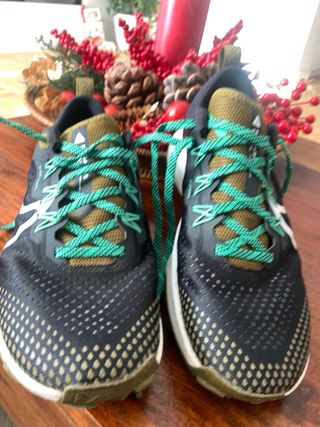 Zapatillas Nike Pegasus Trail Talla 40