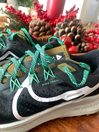 Zapatillas Nike Pegasus Trail Talla 40