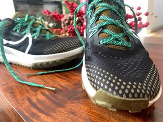 Zapatillas Nike Pegasus Trail Talla 40