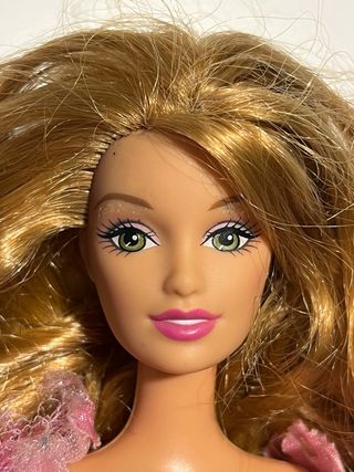 Barbie Fallon Le 12 Principesse Danzanti