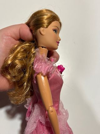 Barbie Fallon Le 12 Principesse Danzanti