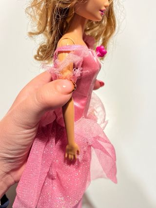 Barbie Fallon Le 12 Principesse Danzanti