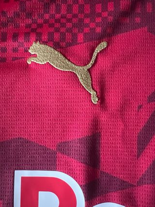 Camiseta Oficial FC Salzburg Puma Roja