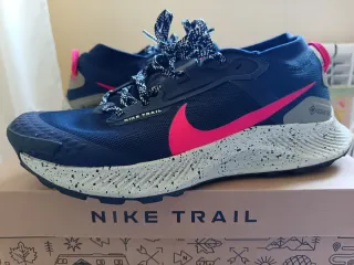 Nike Pegasus Trail 3 GTX