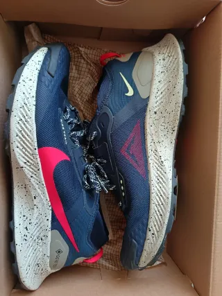Nike Pegasus Trail 3 GTX