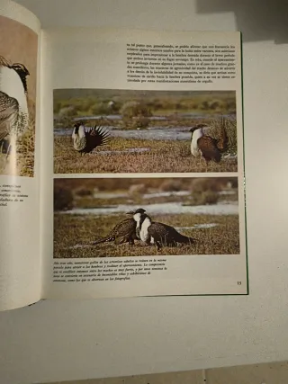 VIDA DE LOS ANIMALES SALVAJES. Como crecen.