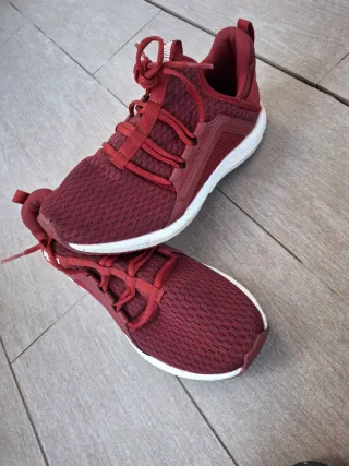Tenis Puma Rojos Talla 38