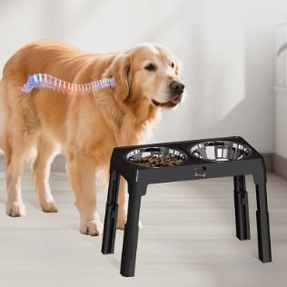 Ciotola elevabile e pieghevole anti-ribaltamento per cani