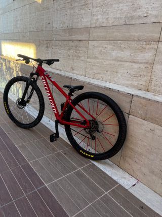 Bici Dirt Jump Specialized Rockhopper 29