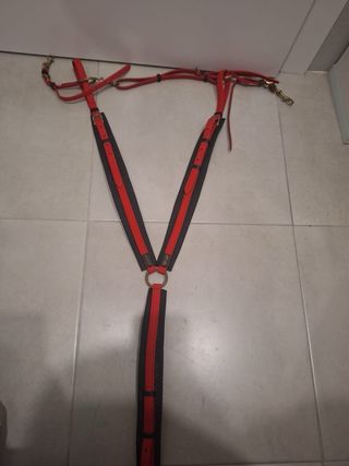 Pechopetral Biothane RAID