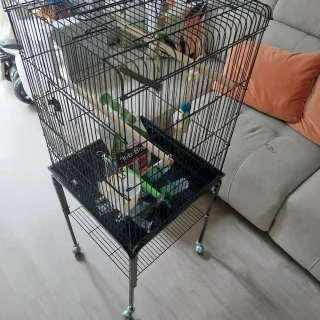 Jaula para pájaros negra