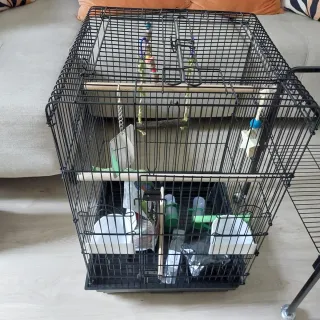 Jaula para pájaros negra