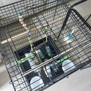 Jaula para pájaros negra