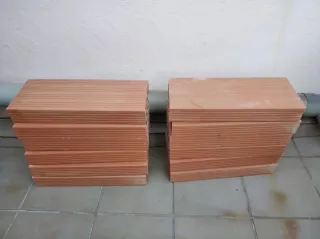 Se regalan 26 Ladrillos / tochos huecos 49x19.5x6.