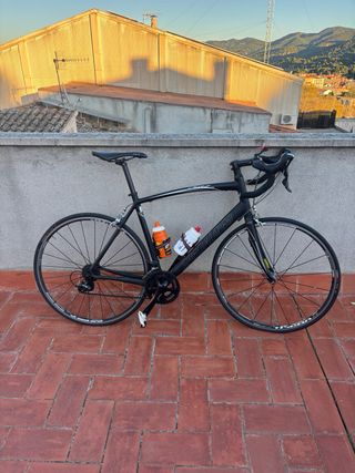 Bicicleta Specialized Allez Comp. Carretera