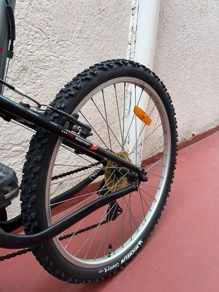 Bicicleta Montaña