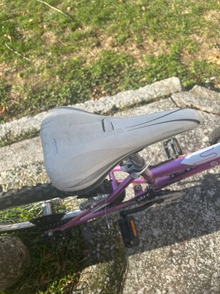 Bicicleta infantil niña rosa