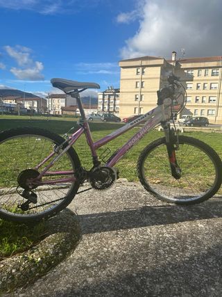Bicicleta infantil niña rosa
