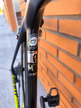 Bicicleta Giant TCR Advanced Ultegra Di2