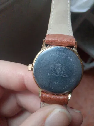 Reloj Festina Cuarzo Marrón y Dorado