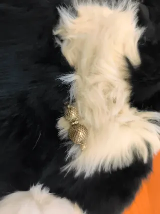 Abrigo fiesta rayas blanco y negro