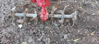 Mula Mecánica Alfa Gasolina Funcional