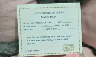 Mini Bebes Reborn Mellizos