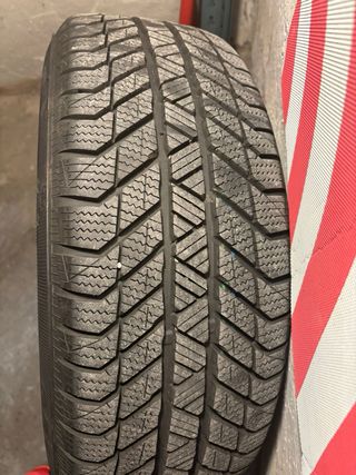 Llantas ALUTEC GRIP 6X15 y neumáticos de invierno