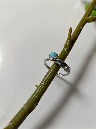 Anillo Dualidad del Mar